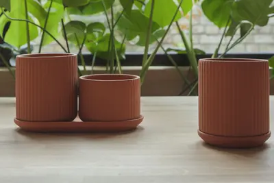 Elementa Klorofyll Terrakotta kolleksjon
